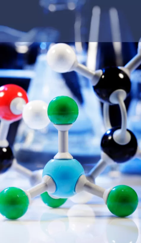 Khoa học Vật lý, Hóa học và Địa chất (Physical Sciences, Chemistry and Earth Sciences)