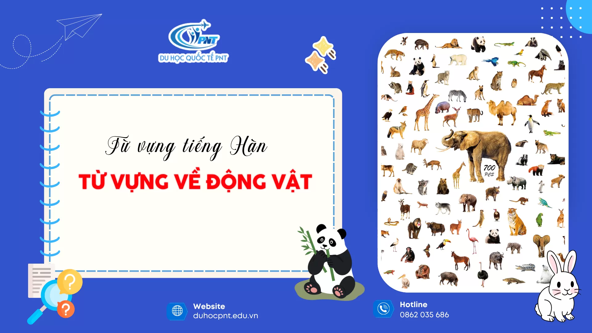 TỪ VỰNG TIẾNG HÀN CHỦ ĐỀ ĐỘNG VẬT CÙNG TRUNG TÂM NGOẠI NGỮ PNT