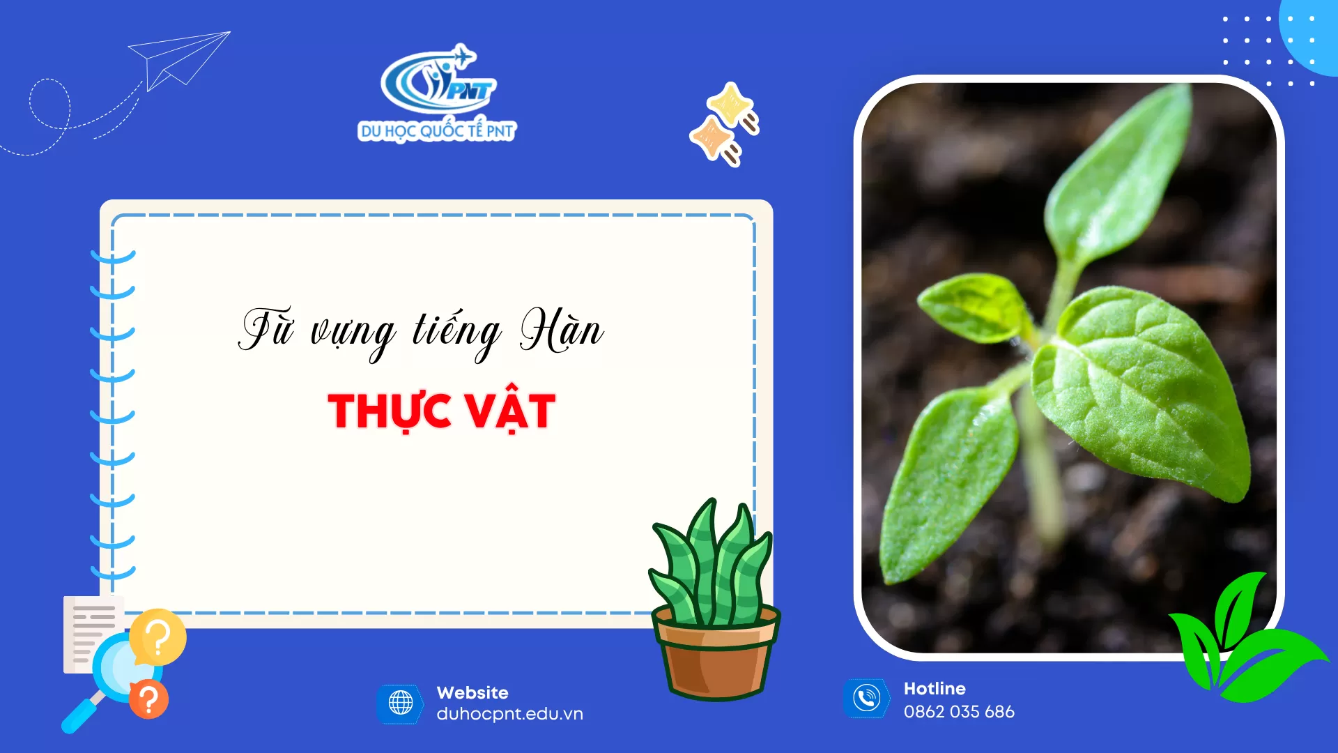 TỪ VỰNG TIẾNG HÀN CHỦ ĐỀ THỰC VẬT CÙNG TRUNG TÂM NGOẠI NGỮ PNT